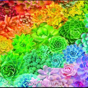 Succulent Rainbow 1000 pc.