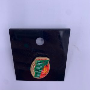 Vermont State with Leaves Pin