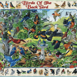 Birds of the Back Yard Puzzle 1000 pc.